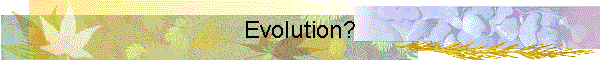 Evolution?
