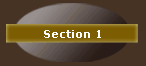 Section 1