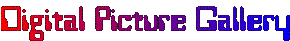 Digital Picture Gallery Banner
