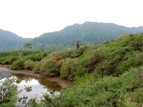 Heeia Kea Looking Mauka toward Koolau Mountains, Kaneohe, Oahu, Hawaii picture taken by ATAH.NET photographer for www.digital-picture-gallery.com