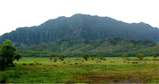 Heeia Koolaus and Meadow, Kaneohe, Oahu, Hawaii picture taken by ATAH.NET photographer for www.digital-picture-gallery.com